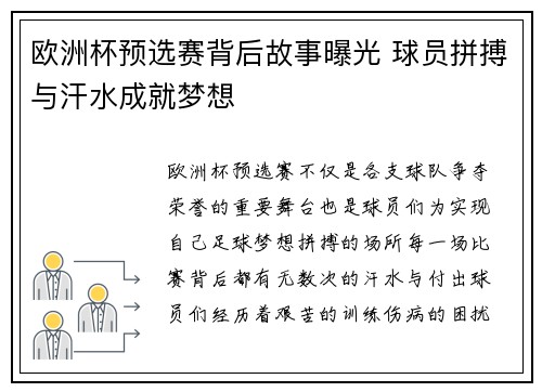 欧洲杯预选赛背后故事曝光 球员拼搏与汗水成就梦想