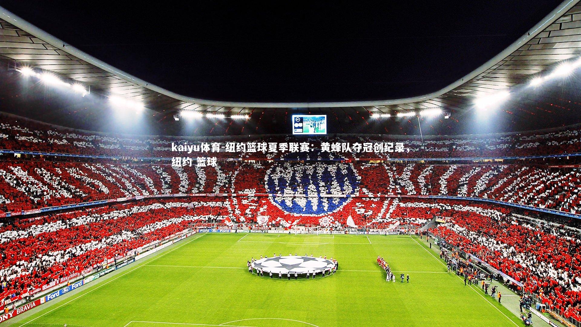 纽约篮球夏季联赛:黄蜂队夺冠创纪录,纽约 篮球