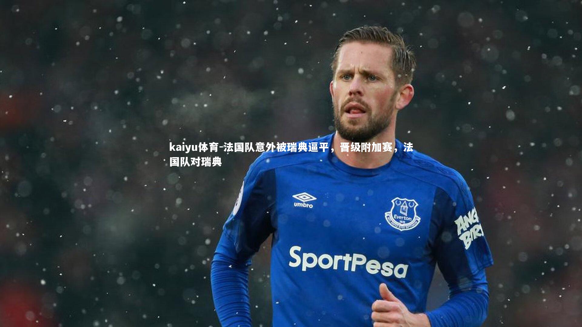 法国队意外被瑞典逼平,晋级附加赛,法国队对瑞典