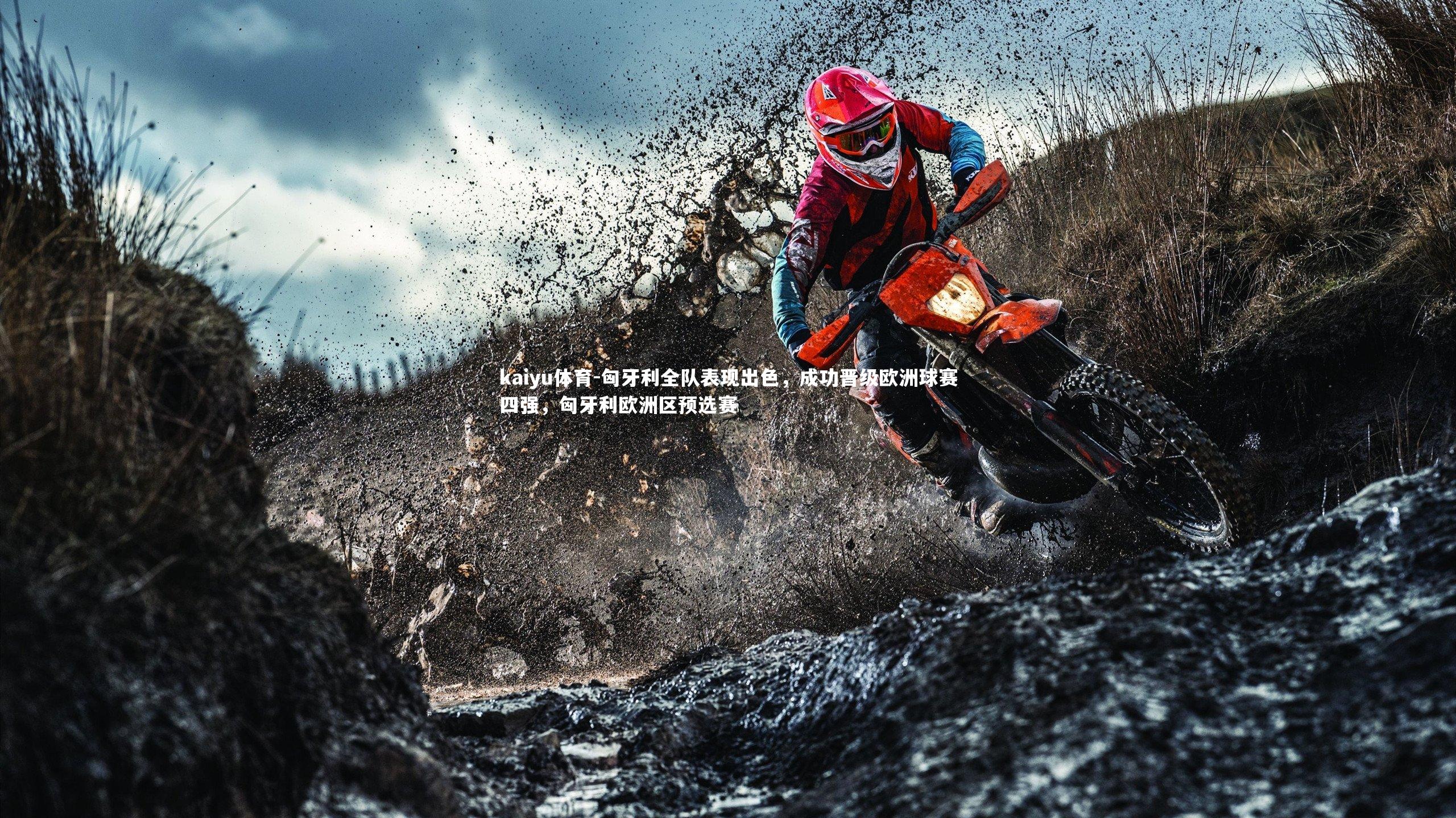 匈牙利全队表现出色,成功晋级欧洲球赛四强,匈牙利欧洲区预选赛