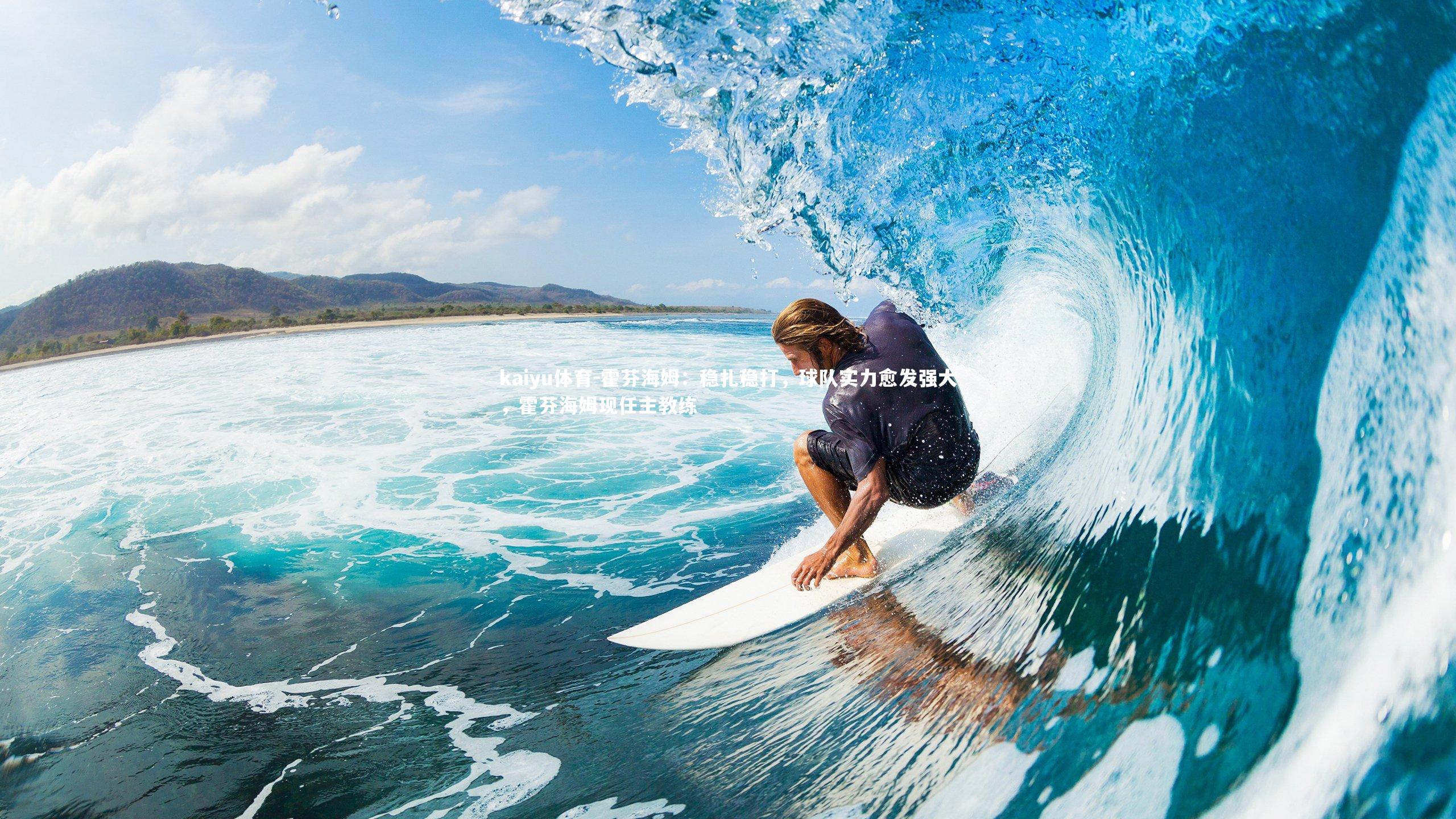 霍芬海姆:稳扎稳打,球队实力愈发强大,霍芬海姆现任主教练